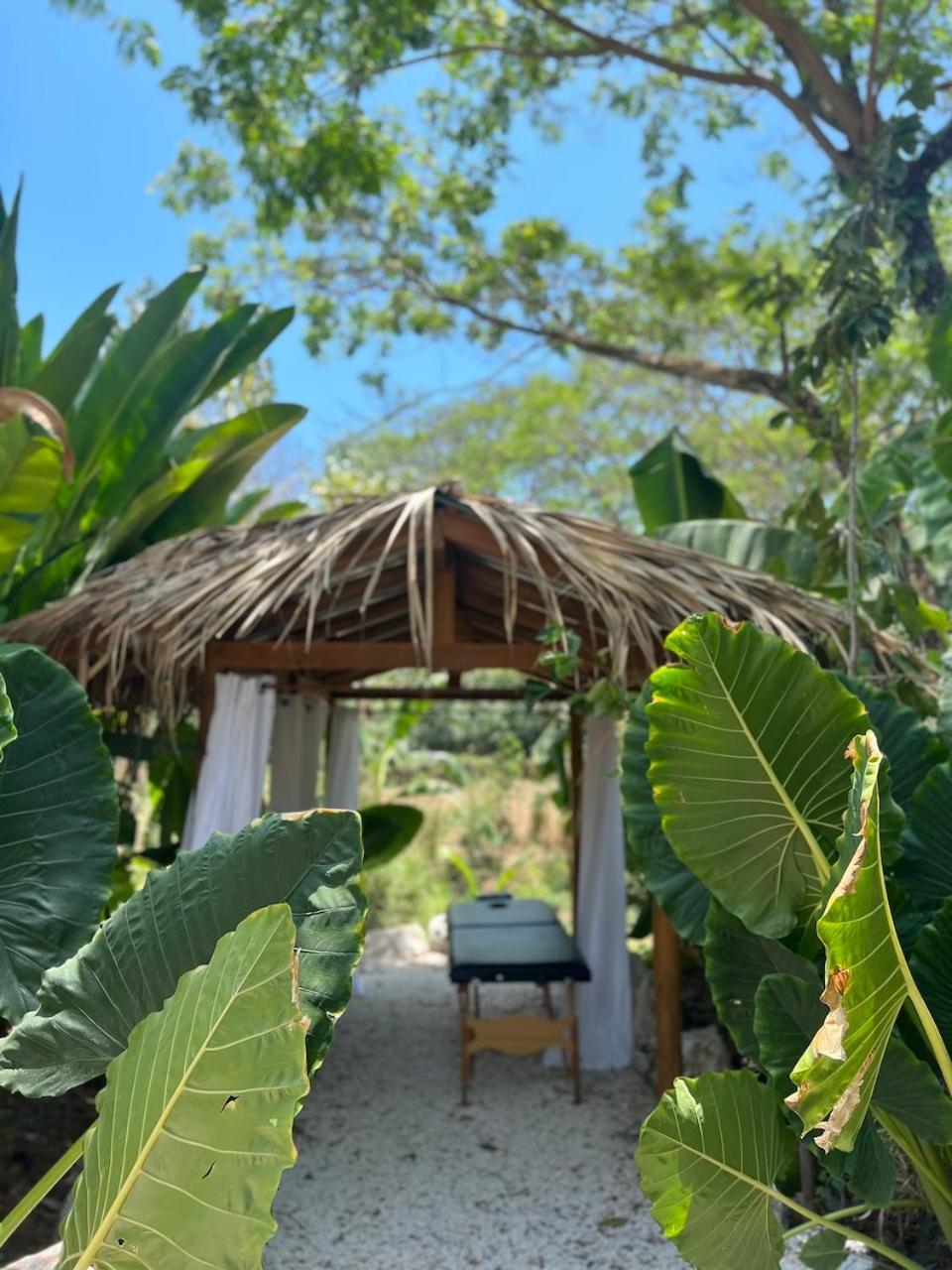A Pousada Dream Surf House Santa Teresa Playa Hermosa Cobano Exterior foto