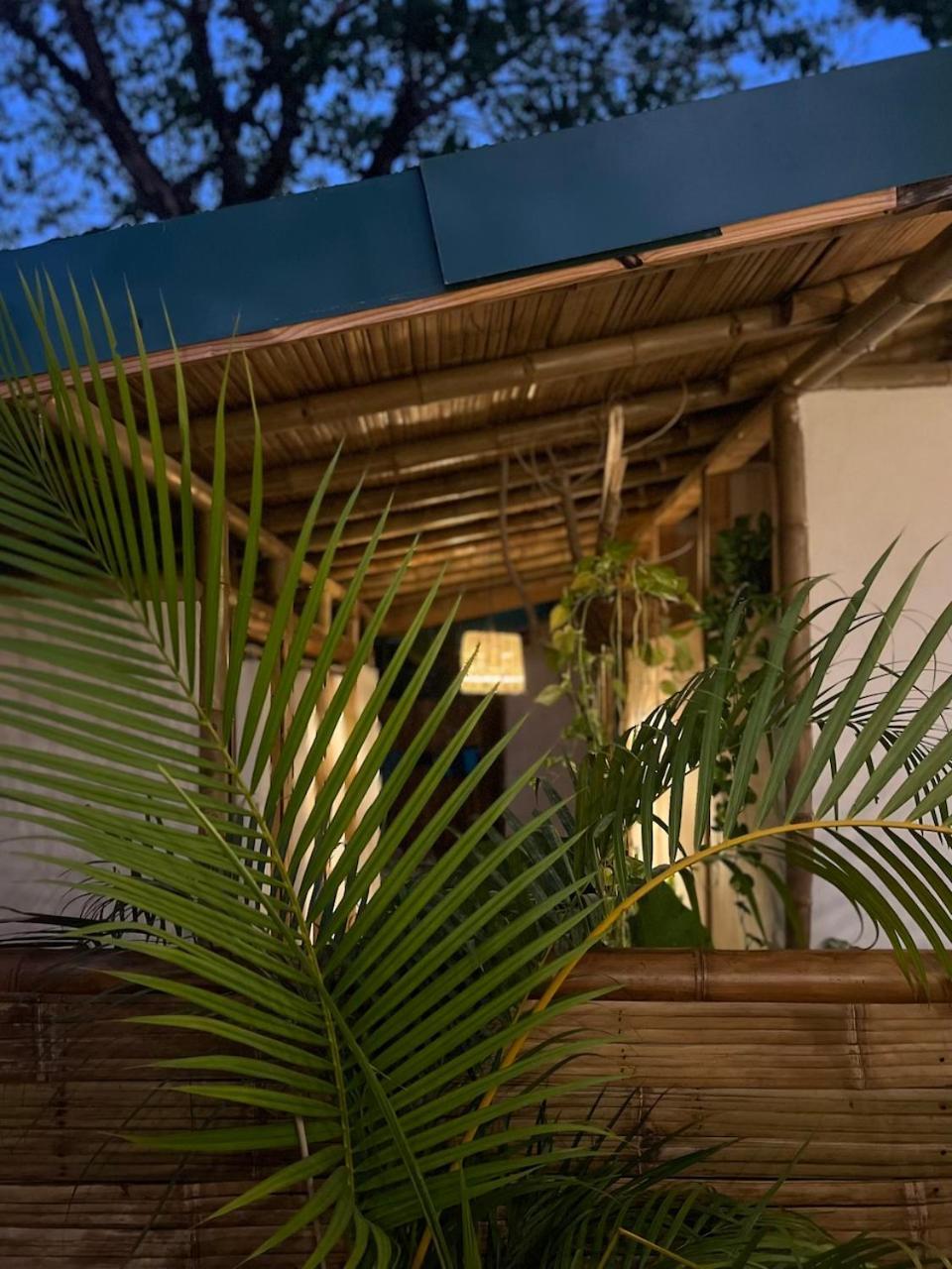 A Pousada Dream Surf House Santa Teresa Playa Hermosa Cobano Exterior foto