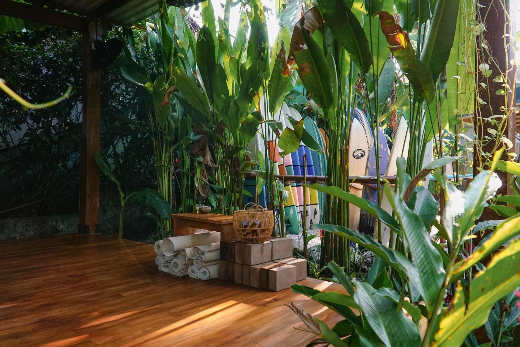 A Pousada Dream Surf House Santa Teresa Playa Hermosa Cobano Exterior foto
