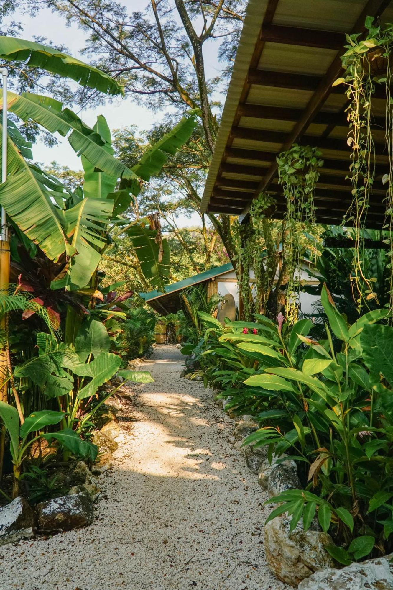 A Pousada Dream Surf House Santa Teresa Playa Hermosa Cobano Exterior foto
