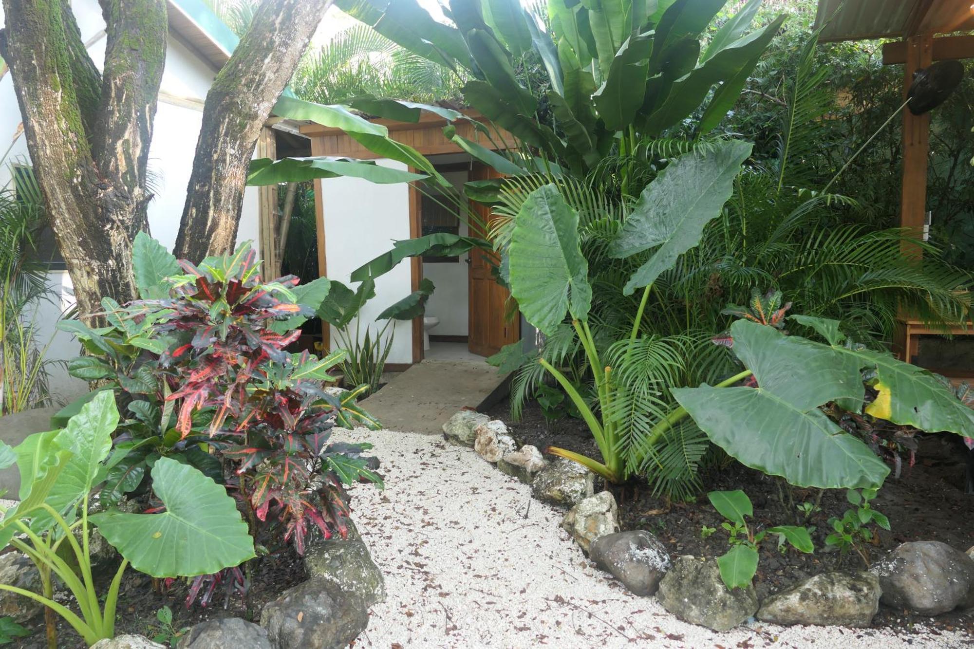 A Pousada Dream Surf House Santa Teresa Playa Hermosa Cobano Exterior foto