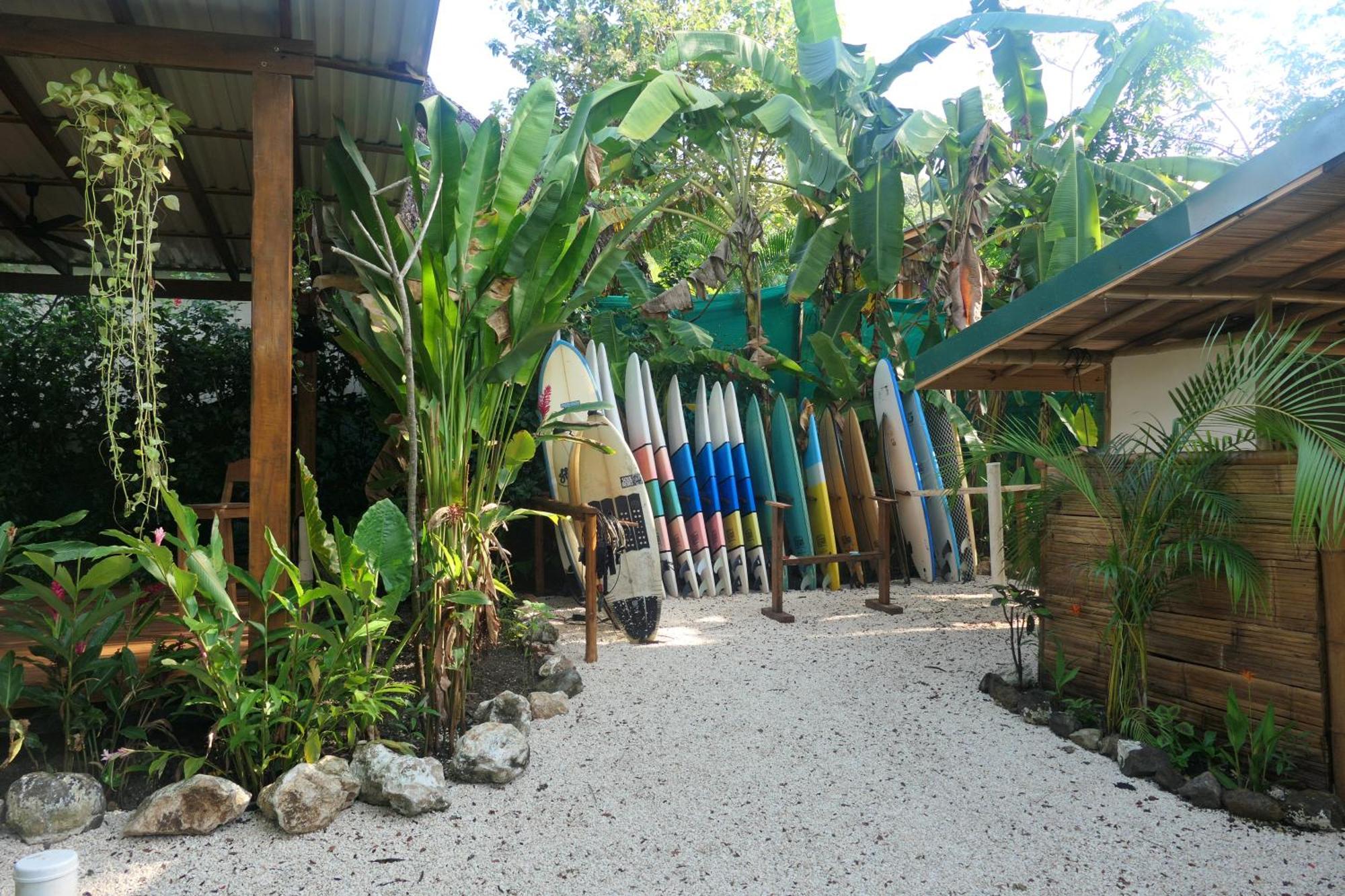 A Pousada Dream Surf House Santa Teresa Playa Hermosa Cobano Exterior foto
